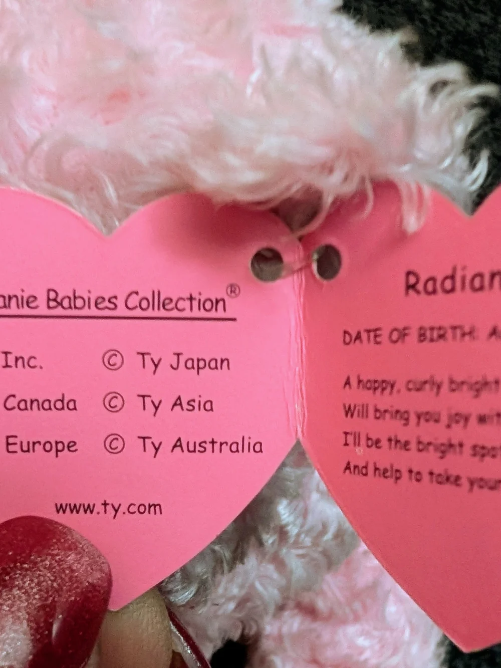 Ty Beanie Baby Pink Plush Bear with Rose